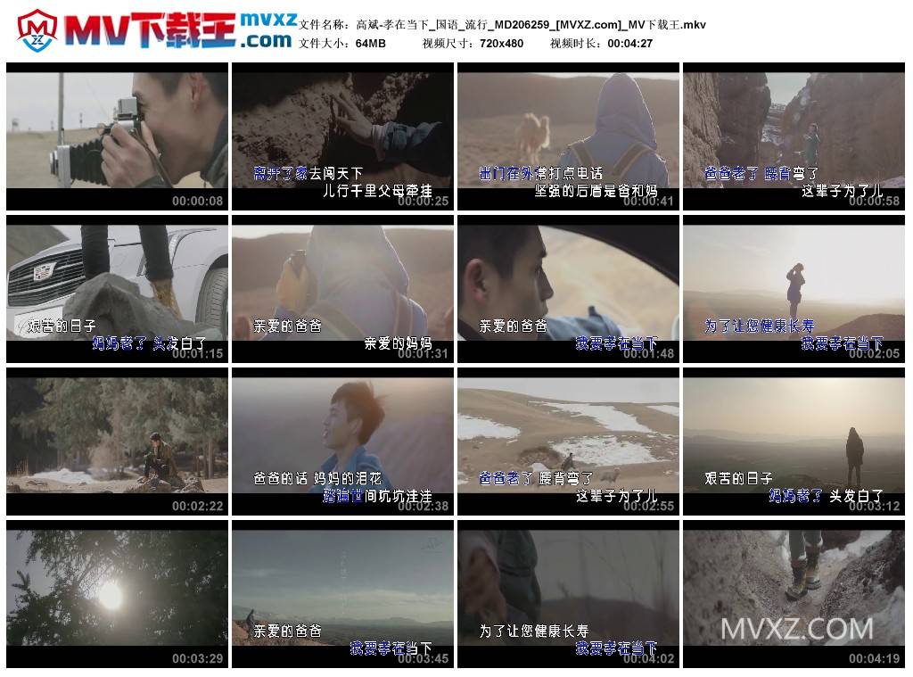 高斌-孝在当下_国语_流行_MD206259